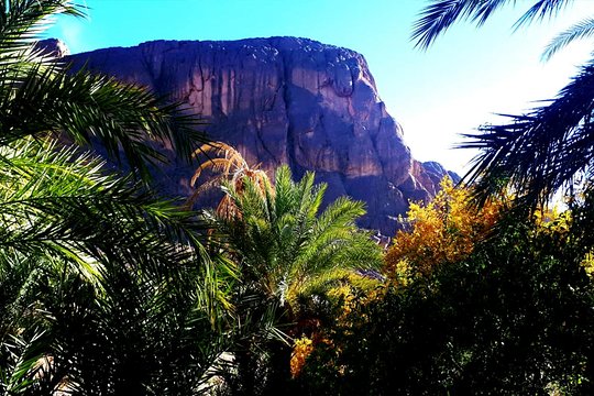 Tour image 12