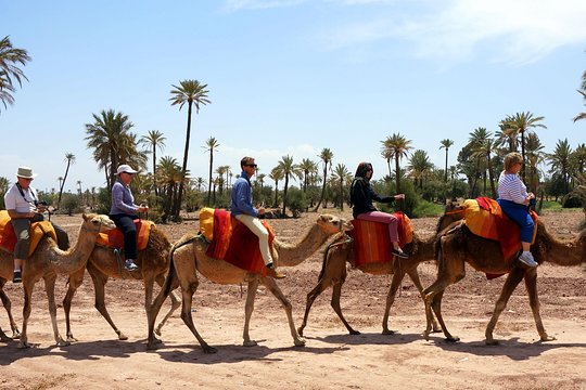 Tour image 10