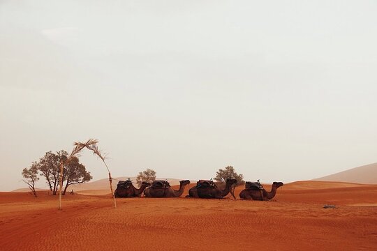 Tour image 2