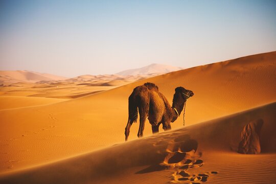 Tour image 6
