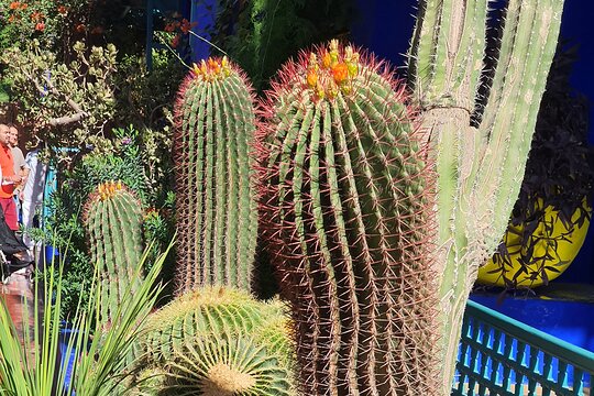 Tour image 6