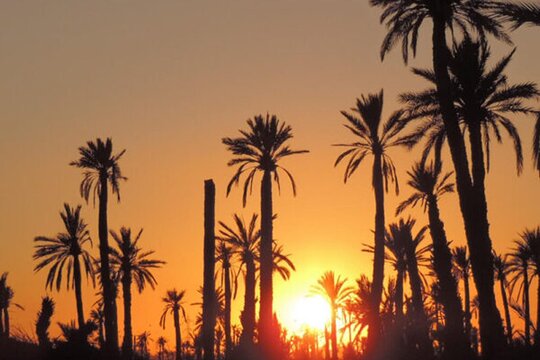 Tour image 5